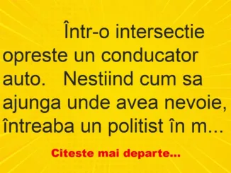 Banc: 
                    Într-o intersectie opreste un conducator…