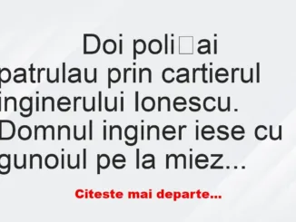 Banc: 
                    Doi polițai patrulau prin cartierul inginerului…