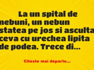 Banc: 
                    La un spital de nebuni, un nebun statea pe jos si…