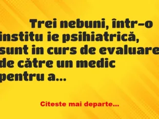 Banc: 
                    Trei nebuni, într-o instituție psihiatrică, sunt …