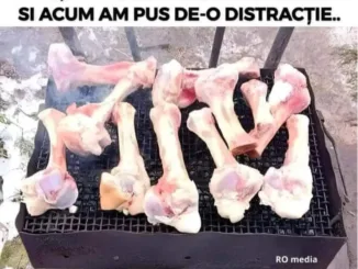 Buna dimineata!