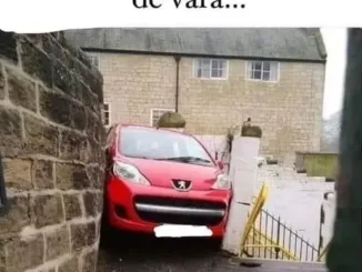 Buna dimineata!