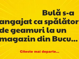 Banc: Bulă s-a angajat ca spălător de geamuri la un magazin din București