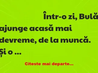 Banc: Bulă vrea să împuște amantul soției: – Domnule, nu știu cine ești