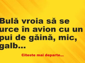 Banc: Bulă vroia să se urce în avion cu un pui de găină, mic, galben şi…