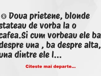 Banc: Doua prietene, blonde stateau de vorba la o cafea. –
