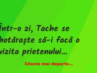 Banc: Într-o zi, Tache se hotăraște să-i facă o vizita prietenului sau,…