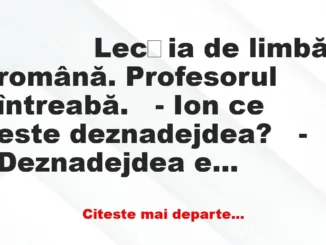 Banc: 
                    Lecția de limbă română. Profesorul…