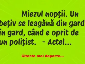Banc: 
                    Miezul nopţii. Un beţiv se leagănă din gard în…