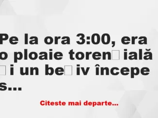 Banc: Pe la ora 3:00, era o ploaie torențială și un bețiv începe să strige:…