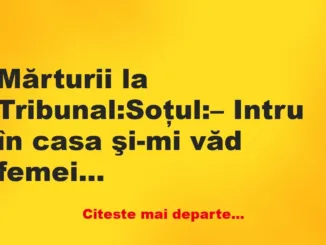 Banc: Soţul: – Intru în casa şi-mi văd femeia în pielea goală pe pat, geamul…