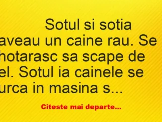 Banc: 
                    Sotul si sotia aveau un caine rau. Se hotarasc sa…