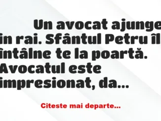 Banc: 
                    Un avocat ajunge in rai. Sfântul Petru îl…