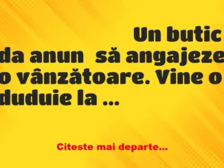 Banc: Un butic da anunț să angajeze o vânzătoare. Vine o duduie la interviu