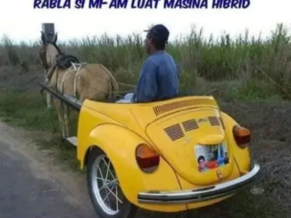 Buna dimineata!