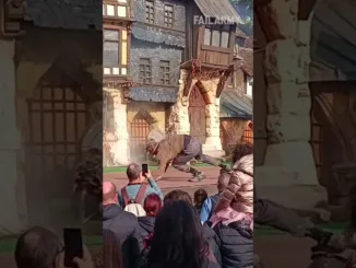 Artistul cade de pe scenă - video