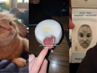 TikTok-uri pe care le-am găsit în timp ce plângeam în