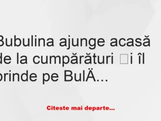 Banc: Bubulina ajunge acasă de la cumpărături și îl prinde pe Bulă cu o…