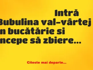 Banc: – Bulă, cine e parașuta aia cu care flirtai pe Facebook adineaori?…