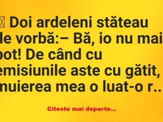 Banc: Doi ardeleni stăteau de vorbă: –