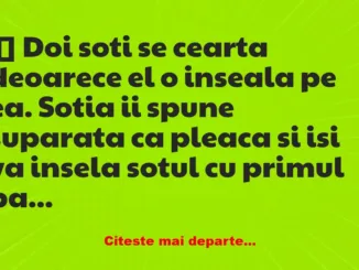 Banc: Doi soti se cearta deoarece el o inseala pe ea –