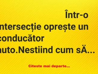 Banc: Într-o intersecție oprește un conducător auto. Nestiind cum să ajungă…