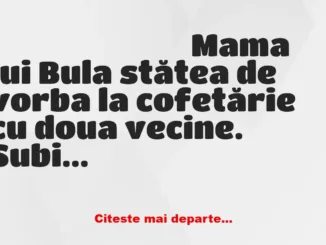 Banc: Într-o zi profesoara îl întreabă pe Bulă: La ce timp e verbul din…
