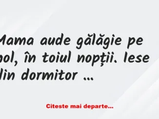 Banc: Mama aude gălăgie pe hol, în toiul nopții. Iese din dormitor și îl…