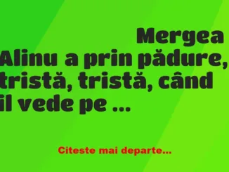 Banc: Mergea Alinuța prin pădure, tristă, tristă, când il vede pe Tarzan,…