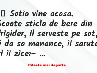 Banc: Sotia vine acasa. Scoate sticla de bere din frigider – Dracusorul…