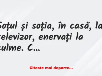 Banc: Soțul și soția, în casă, la televizor, enervați la culme de câinele…
