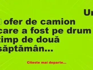 Banc: Un șofer de camion care a fost pe drum timp de două săptămâni, se…