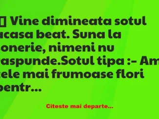 Banc: Vine dimineata sotul acasa beat –