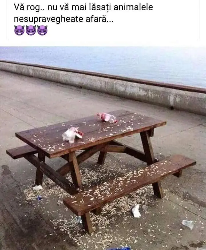 Buna dimineata!