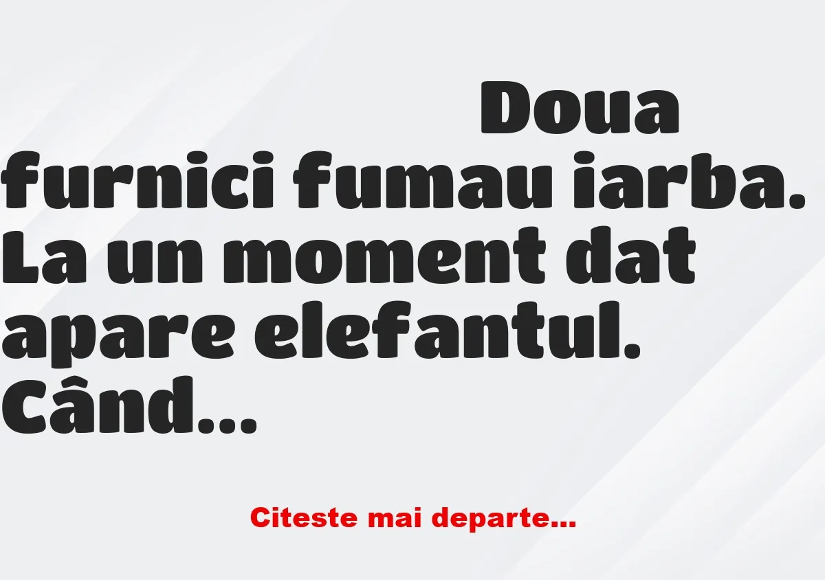 Banc: Doua furnici fumau iarba. La un moment dat apare elefantul Banc: Doua furnici fumau iarba. La un moment dat apare elefantul