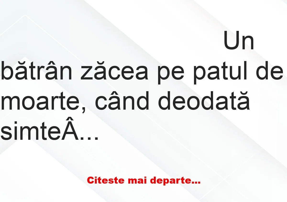 Banc: Un bătrân zăcea pe patul de moarte, când deodată simte miros de… Banc: Un bătrân zăcea pe patul de moarte, când deodată simte miros de…