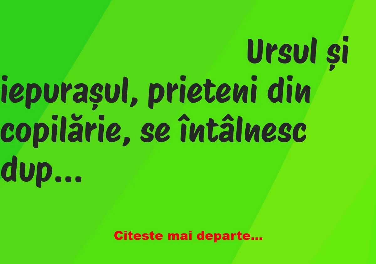 Banc: Iepurașul era la costum, cu o mașină mișto, iar ursul un bețiv Banc: Iepurașul era la costum, cu o mașină mișto, iar ursul un bețiv