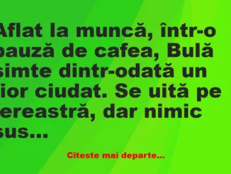 Banc: Alo, Bubulino, ești acasă? –