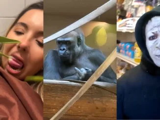 Meme Tiktok care ar putea bate 1 gorilă într -o