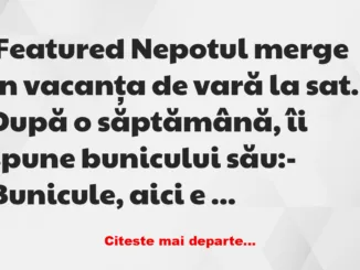 Banc: Ce lecție primește un copil de la bunicul lui