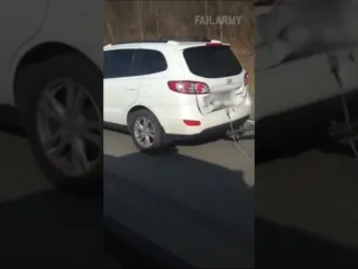 Eșuarea remorcii - video