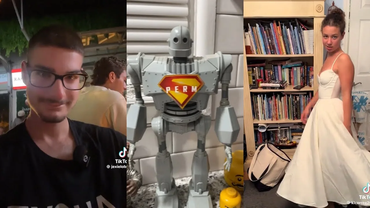 Meme Tik Tok pe care le comand cu o parte