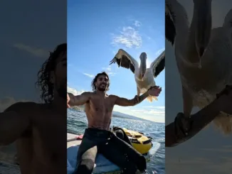 Pasărea uriașă a vrut să facă surf cu mine 🤯