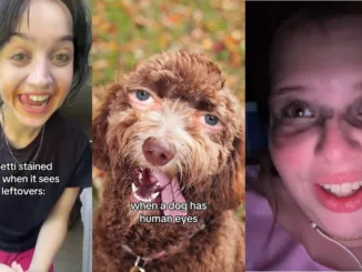 Tik Tok Am fost blocat pentru trimitere 😤 - video