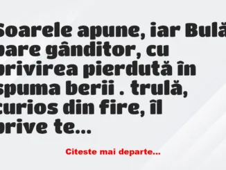 Banc: Bulă, am auzit că divorțezi… e adevărat? –