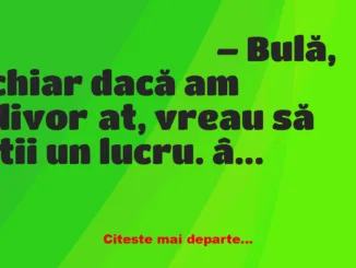 Banc: Bulă, Bubulina și amintirile din Poiana Brașov Banc: Bulă, Bubulina și amintirile din Poiana Brașov