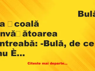 Banc: -Bulă, de ce nu ți-ai făcut tema pentru azi?