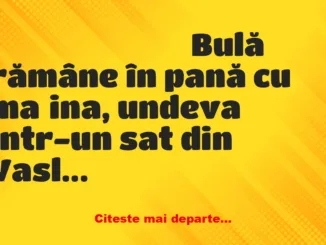 Banc: – Bulă, încetează sau îl chem pe tata!