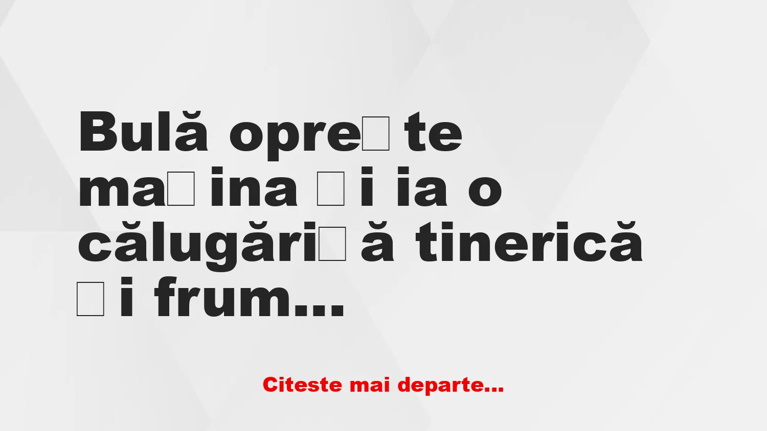 Banc: Bulă oprește mașina și ia o călugăriță