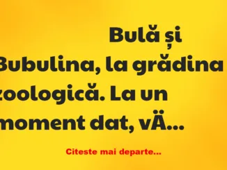 Banc: Bulă și Bubulina, la grădina zoologică, caută leul Banc: Bulă și Bubulina, la grădina zoologică, caută leul